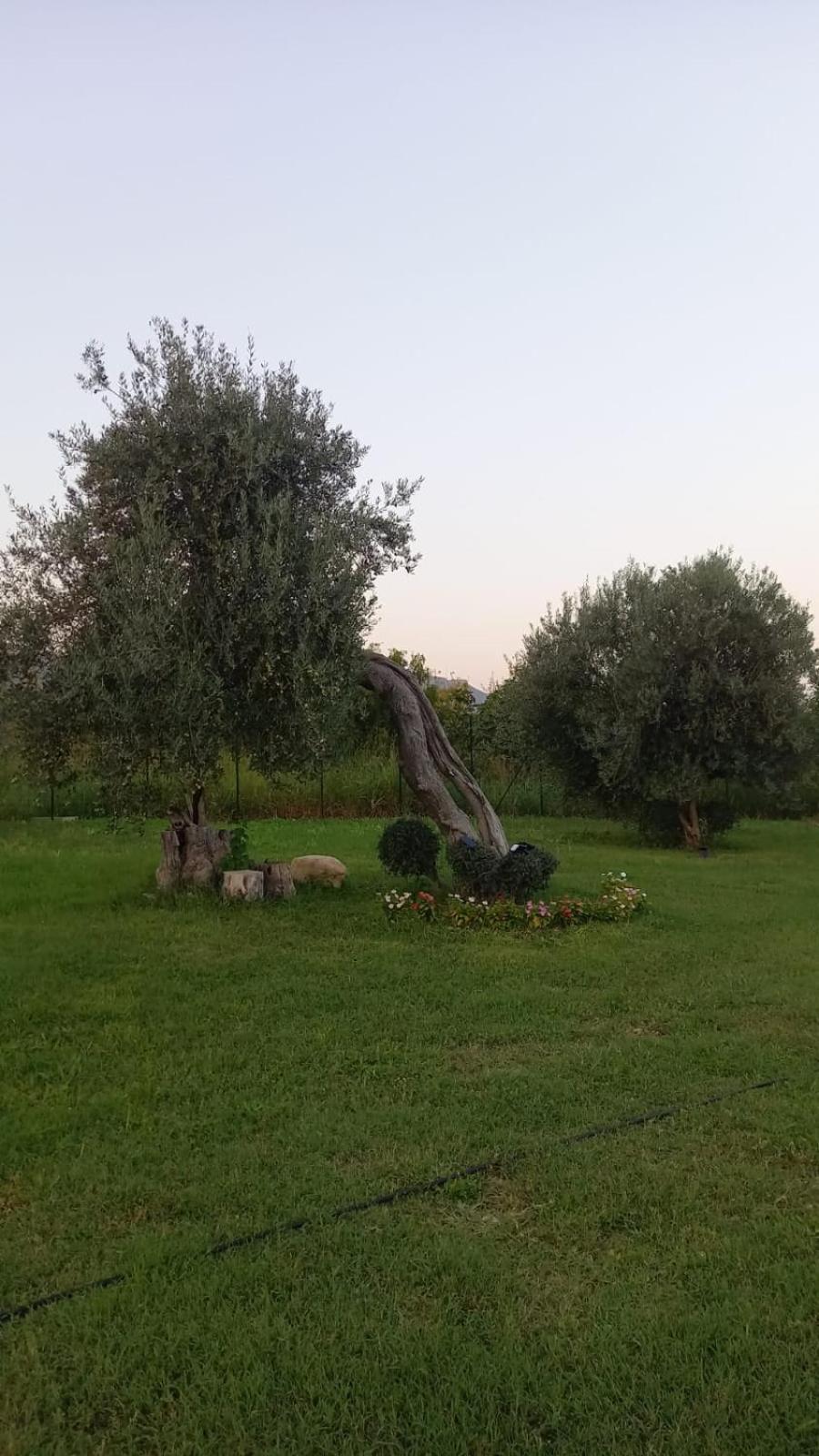 I Secolari Di Giulia Villa Avola Exterior foto