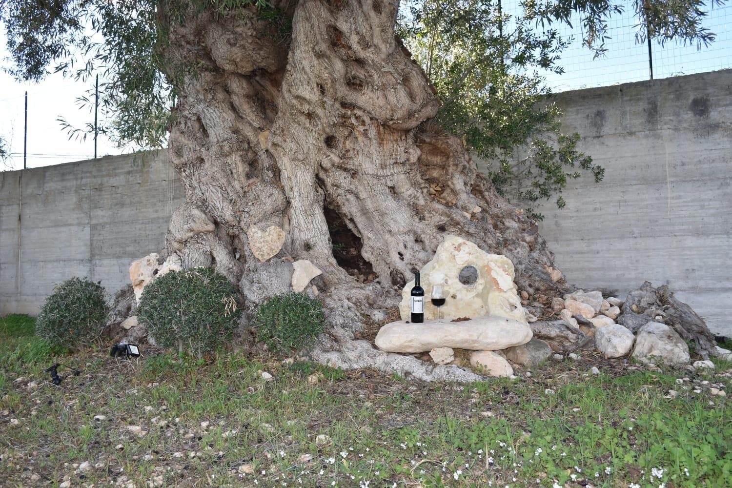I Secolari Di Giulia Villa Avola Exterior foto